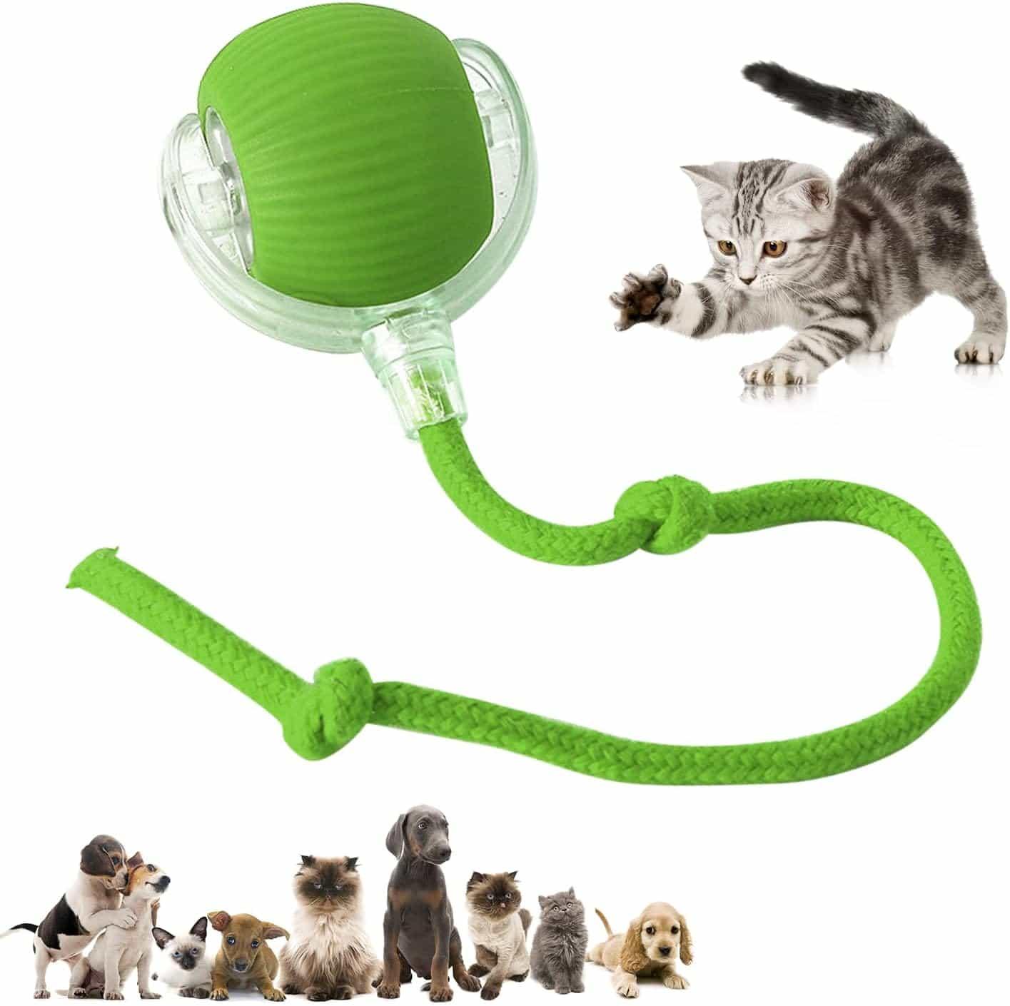 Intelligent cat ball