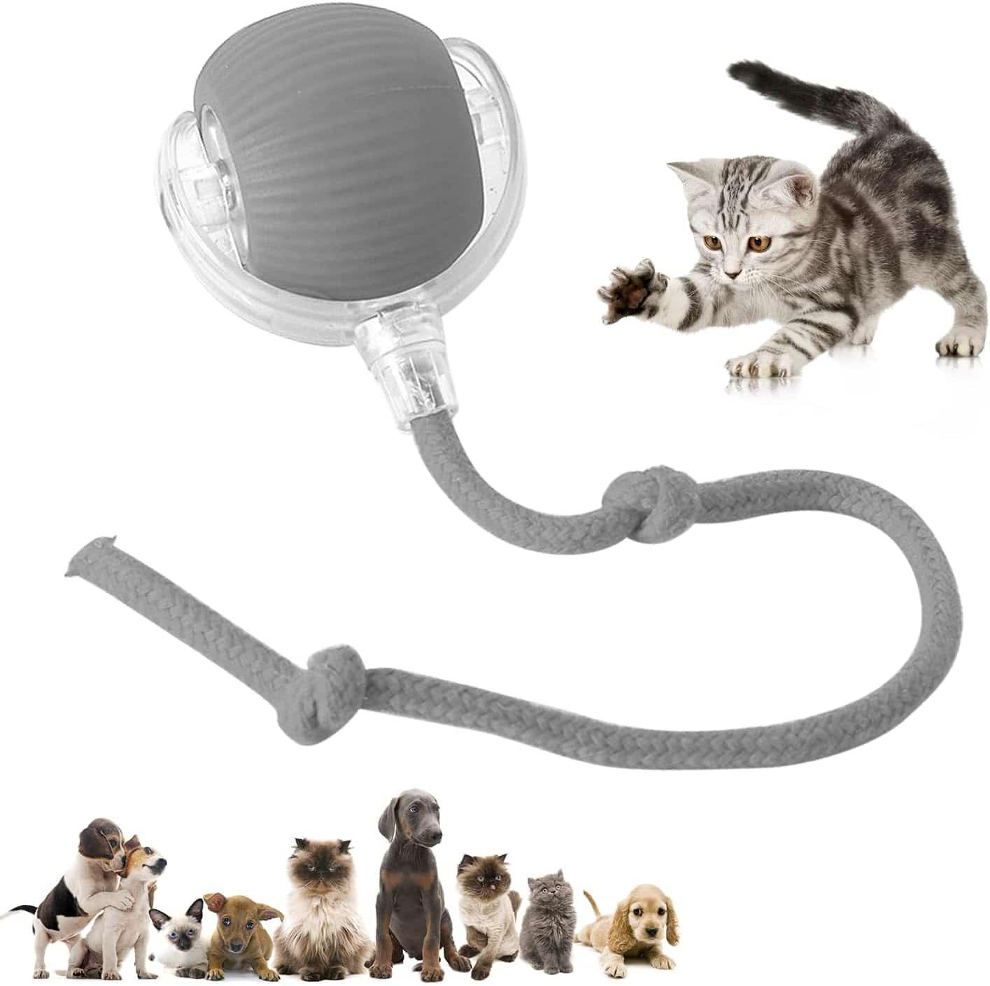 Intelligent cat ball