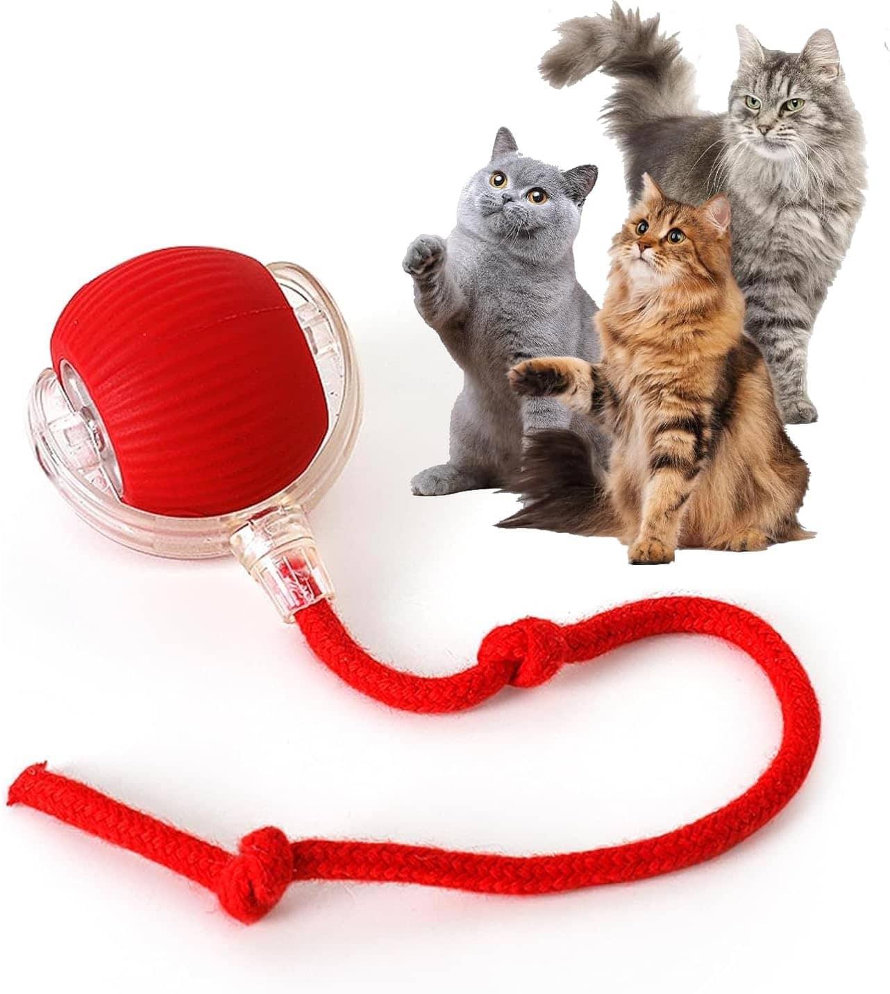 Intelligent cat ball