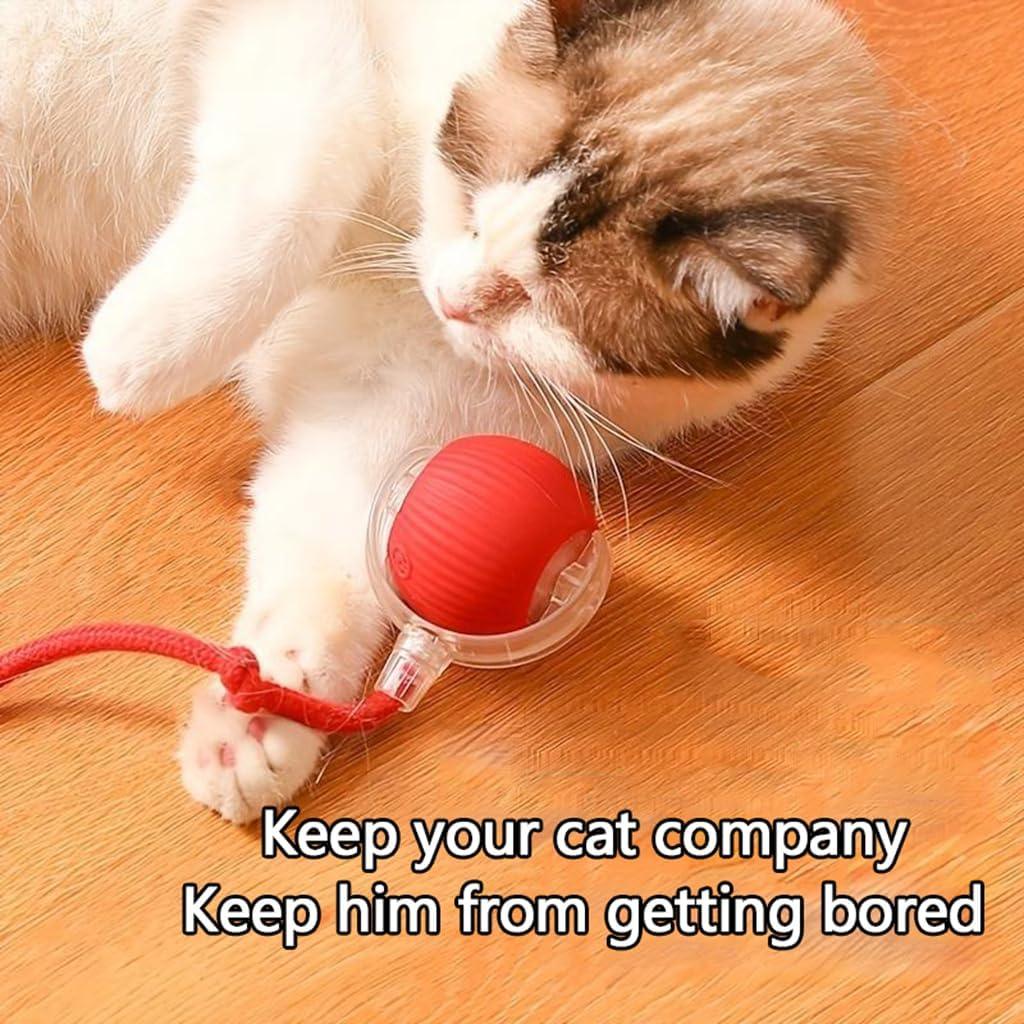 Intelligent cat ball