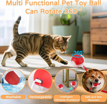 Intelligent cat ball
